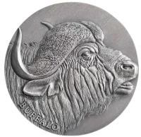 Монета «Африканский буйвол», 2022 г., Серебро, 62,2 гр., проба 999, КАМЕРУН