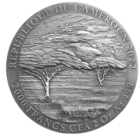 Монета «Африканский буйвол», 2022 г., Серебро, 62,2 гр., проба 999, КАМЕРУН